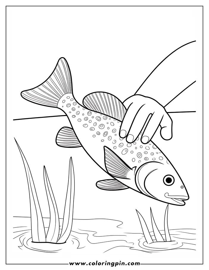 Line art of a spotted fish being held by a hand above some water plants.
