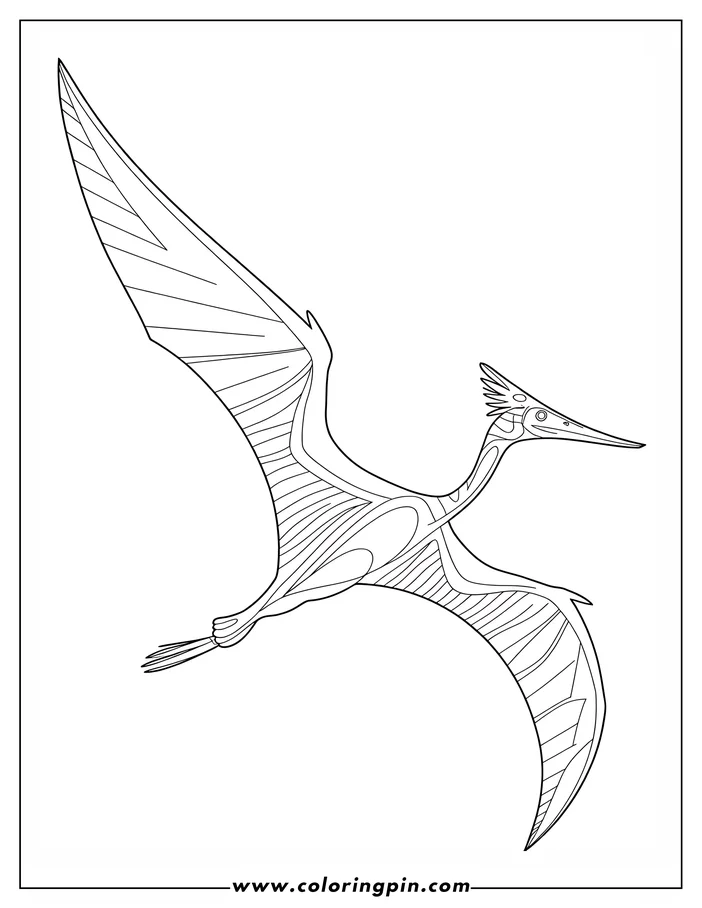 Line art of a pterodactyl in flight, showing detailed patterns on its wings and a crested head.