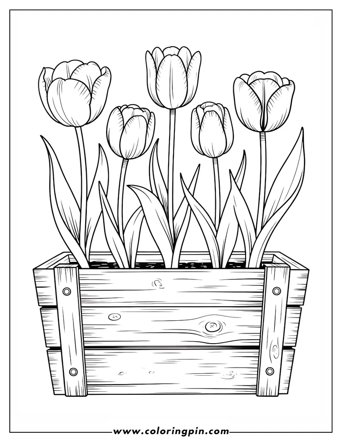 Tulip coloring page in a wooden crate, a detailed flower outline drawing for all ages, free to print.