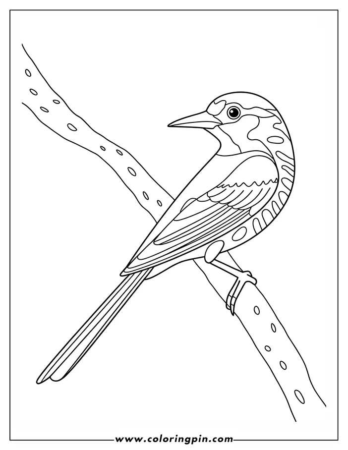 Line drawing of a bird sitting on a spotted tree branch