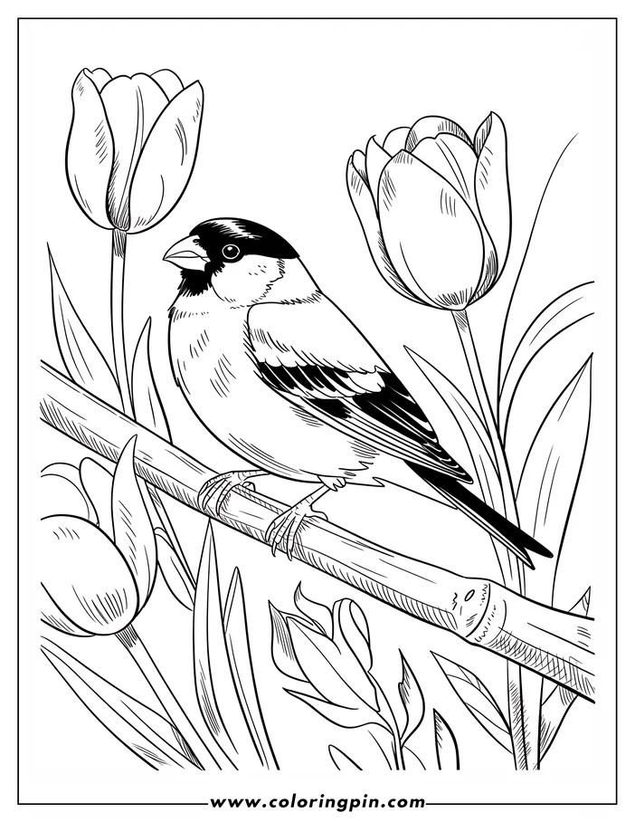Bird on tulip branch coloring page, a realistic nature coloring sheet for kids and adults, printable and free.