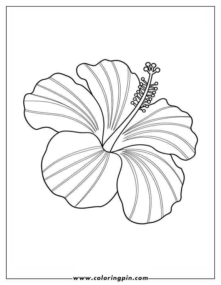 Outline of a hibiscus flower with detailed petals and center.