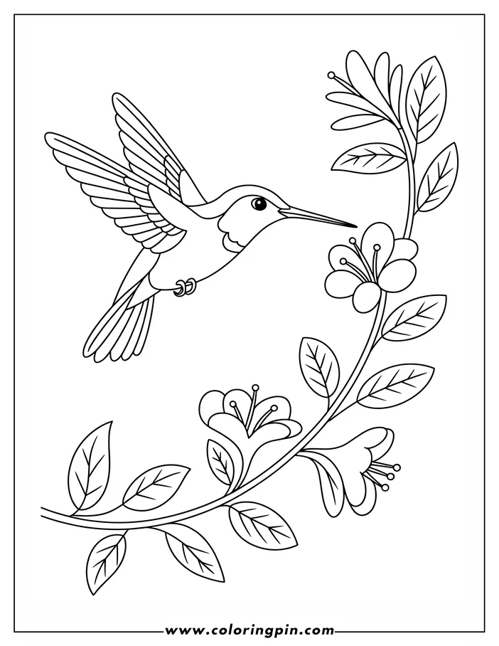 Line art of a hummingbird hovering near a flowering branch with multiple blossoms and leaves.