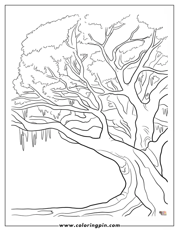 Line art of a large oak tree with thick branches and drooping leaves.
