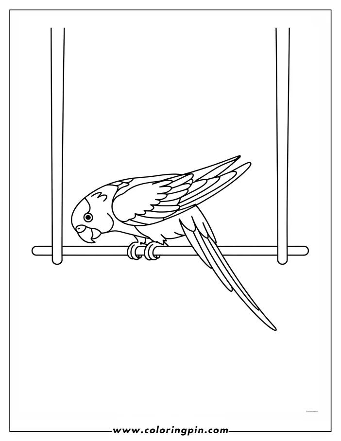 Line art of a parrot perched on a swing.