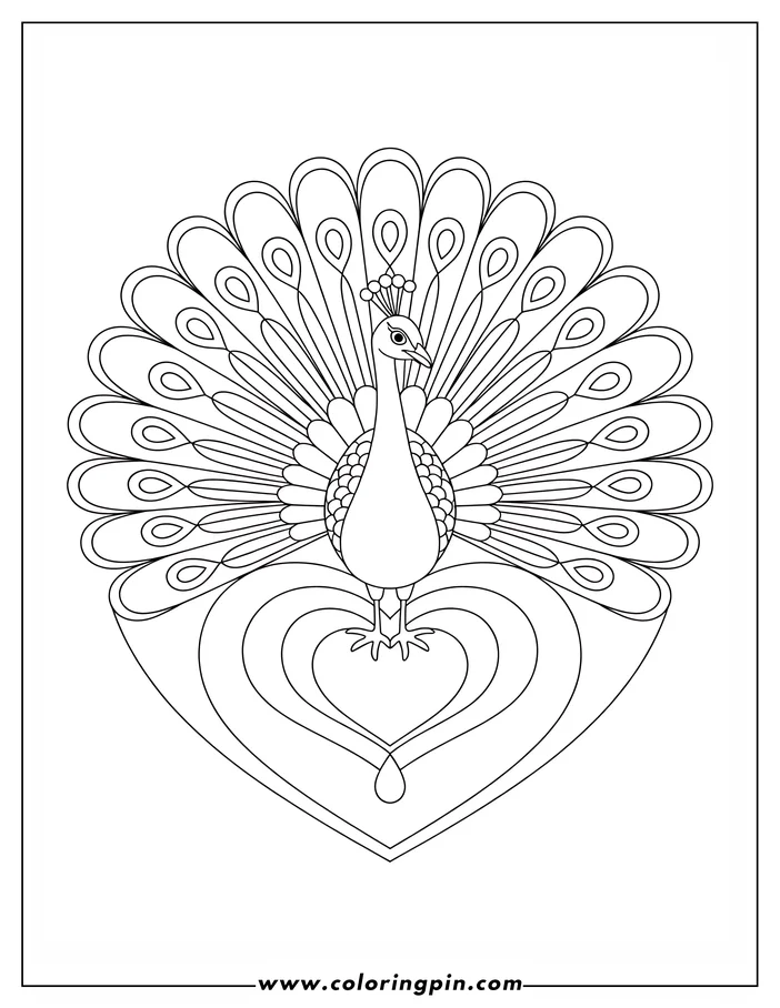 Line art of a peacock with its tail fanned out in a heart shape.