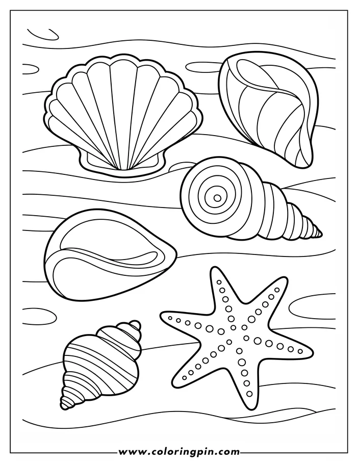 Summer seashells coloring page: a printable outline drawing of various seashells and starfish, easy and free for kids and adults.