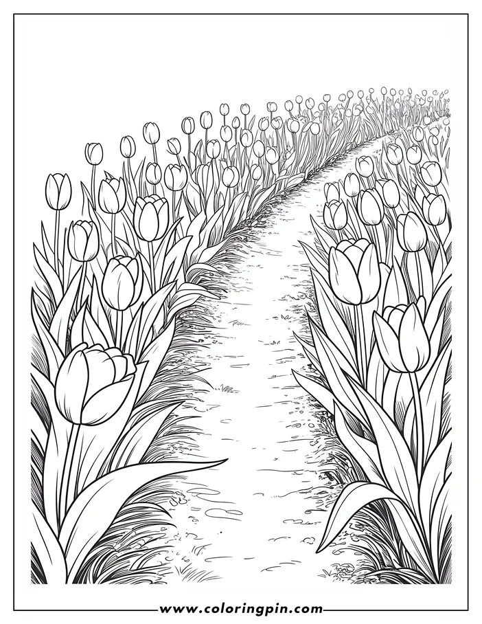 Tulip garden path coloring page, a beautiful flower outline drawing for kids and adults, free printable PDF.