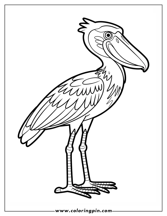 Outline of a shoebill, a large wading bird, known for its unique shoe-shaped beak.