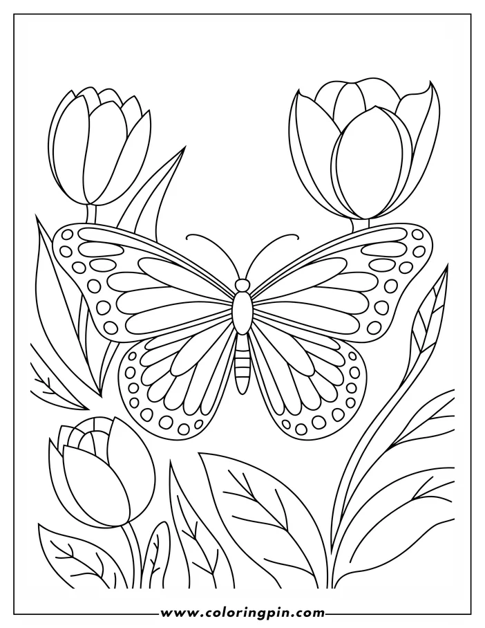 Butterfly and tulip coloring page, a simple and cute spring flower and insect coloring sheet printable for kids and adults.