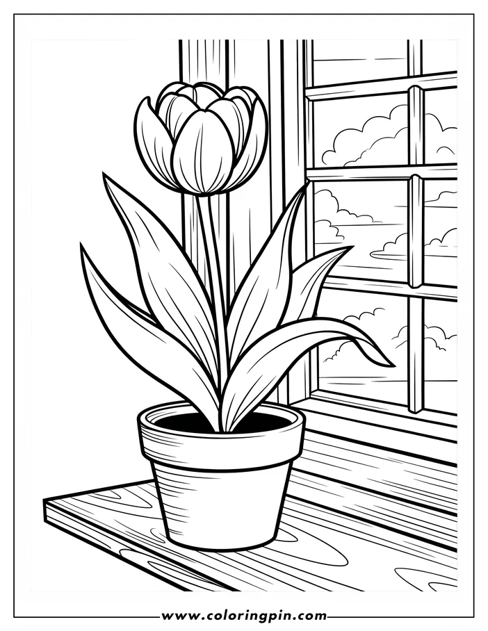 Tulip in a pot by the window coloring page, a simple flower outline drawing for kids and adults, free and printable.
